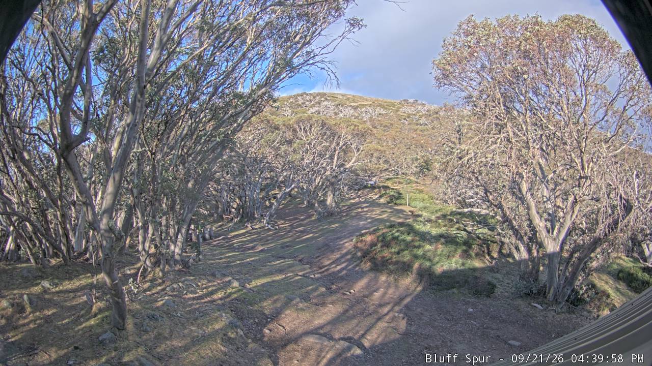 Bluff Spur Hut